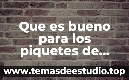 Que es bueno para los piquetes de zancudo en bebes