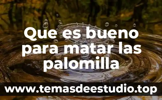 Qué es una microempresa artículo 8 Que es bueno para matar las palomilla