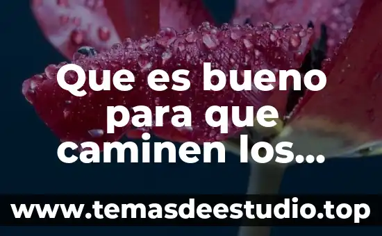 Que es bueno para el estornudo en bebés 3 Que es bueno para que caminen los bebes