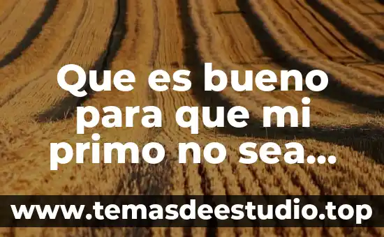 Que es el costo primo en contabilidad de costos 7 Que es bueno para que mi primo no sea rata