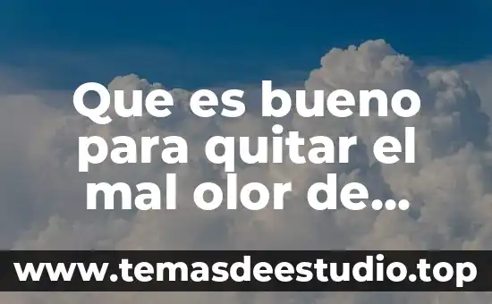 Métodos para quitar la pus y qué es 8 Que es bueno para quitar el mal olor de tenis