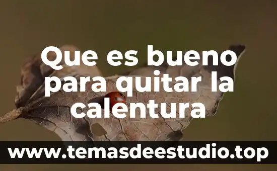 Qué es un visto bueno en comercio exterior 8 Que es bueno para quitar la calentura