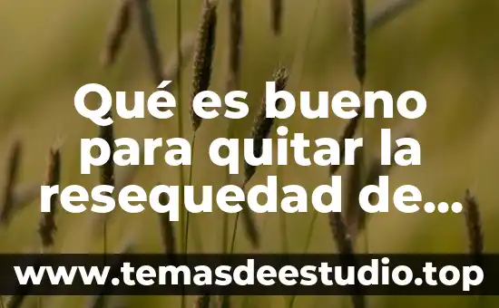 Que es bueno para quitar el mal olor de tenis 7 Qué es bueno para quitar la resequedad de los pies