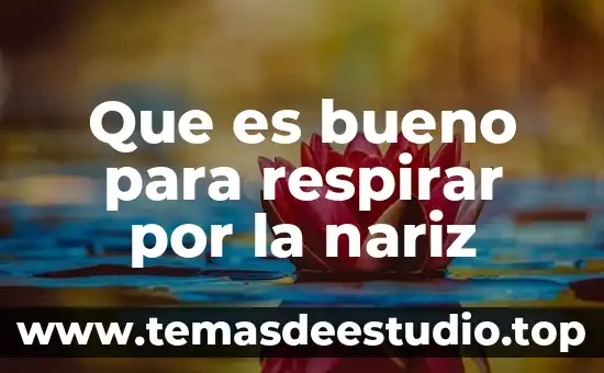 Que es bueno para respirar por la nariz