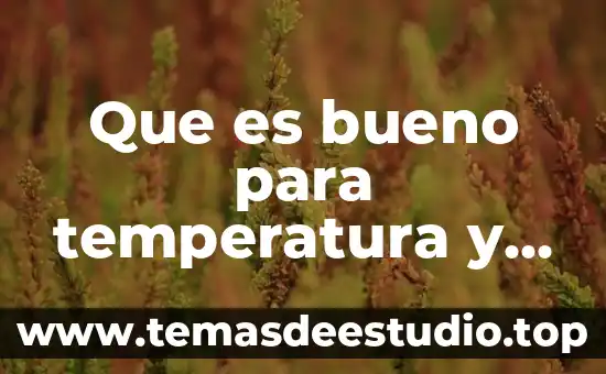 Que es bueno para temperatura y diarrea en adultos