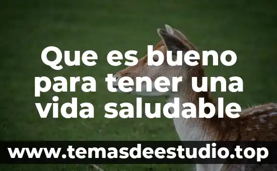 Por que es saludable hacer ejercicios 8 Que es bueno para tener una vida saludable