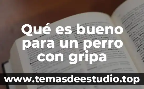 Que es bueno para la picazón en el cuero cabelludo 5 Qué es bueno para un perro con gripa