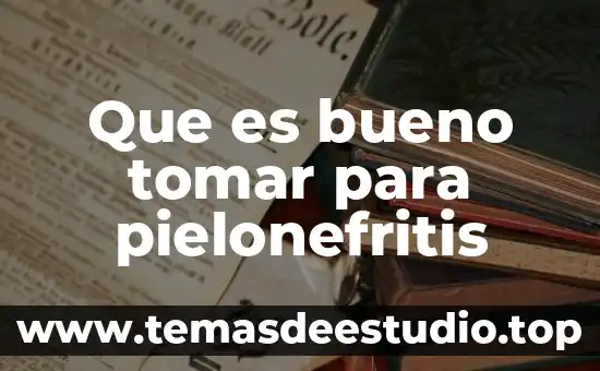 Que es bueno tomar para pielonefritis