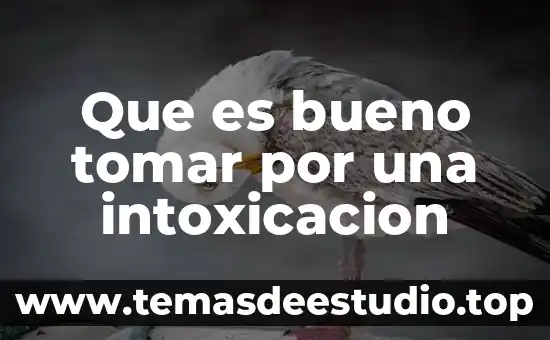 Para el vómito que es bueno tomar 7 Que es bueno tomar por una intoxicacion