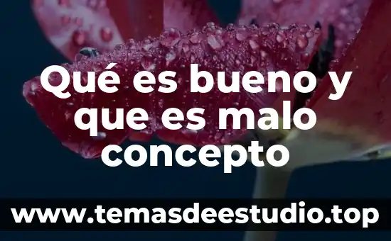 Que es base concepto 7 Qué es bueno y que es malo concepto