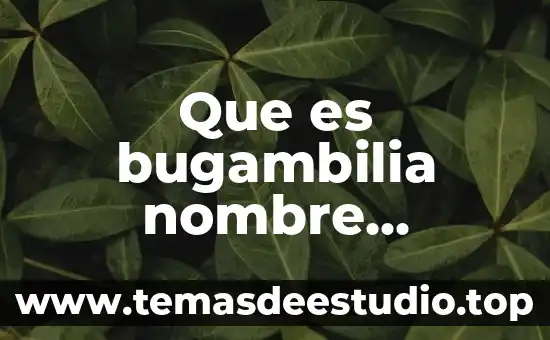 Qué es un paradigma científico ejemplos 4 Que es bugambilia nombre cientifico