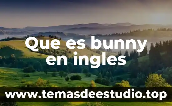 Que es la unidad de arte o unidad de invención 7 Que es bunny en ingles