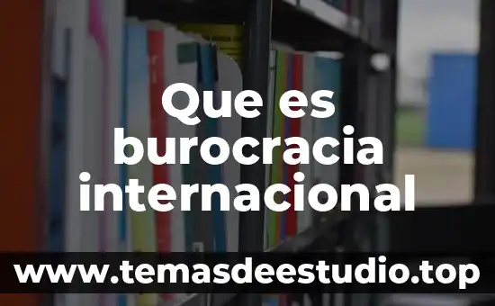Que es la muestra internacional de danza contemporánea en guadalajara 5 Que es burocracia internacional