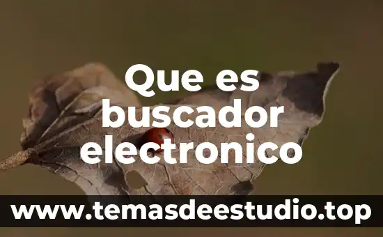 Que es un tramite electronico 4 Que es buscador electronico