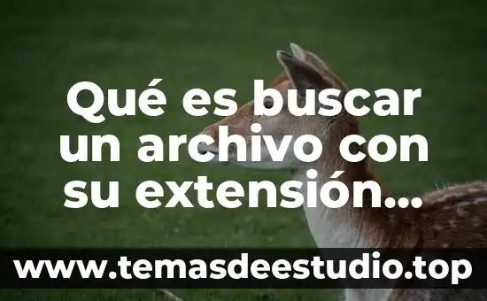 Comprensión lectora que es buscar palabras fantasmas 3 Qué es buscar un archivo con su extensión xis