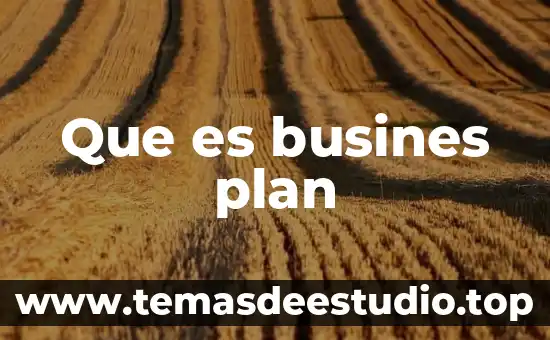 Que es el plan de desarrollo de diseño 6 Que es busines plan