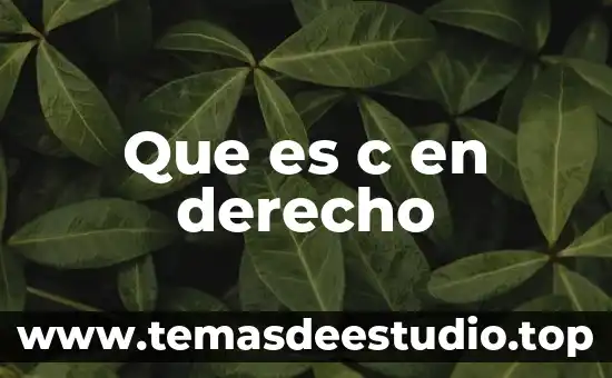 Qué es la parte actora en derecho mexicano 4 Que es c en derecho