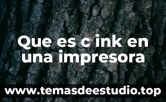 Que es el controlador xps en impresora 5 Que es c ink en una impresora