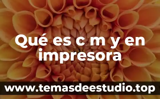 Que es c ink en una impresora 4 Qué es c m y en impresora