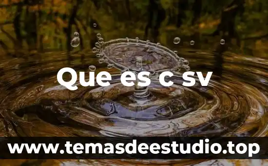 Que es visual c++ redistibutable pack 8 Que es c sv