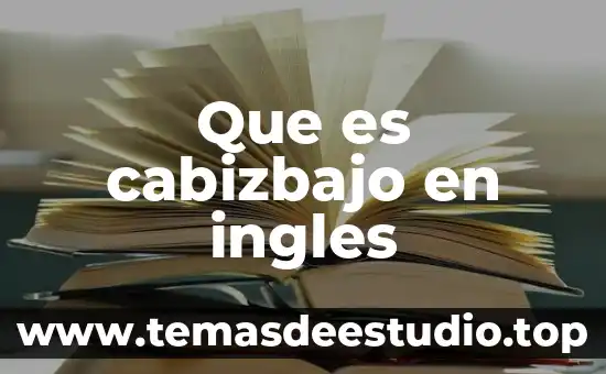 Que es el significado hector 8 Que es cabizbajo en ingles
