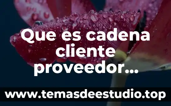 Que es la bandera nacional del ecuador 3 Que es cadena cliente proveedor ejemplos yahoo