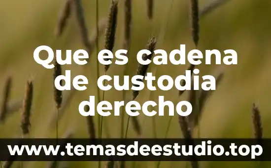 Que es ser parner en twich 3 Que es cadena de custodia derecho