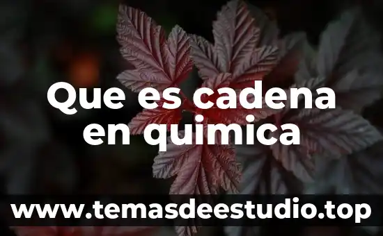Qué es átomo en química definición 4 Que es cadena en quimica