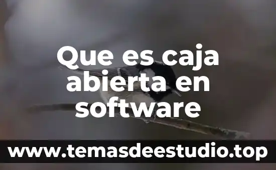 Que es caja abierta en software