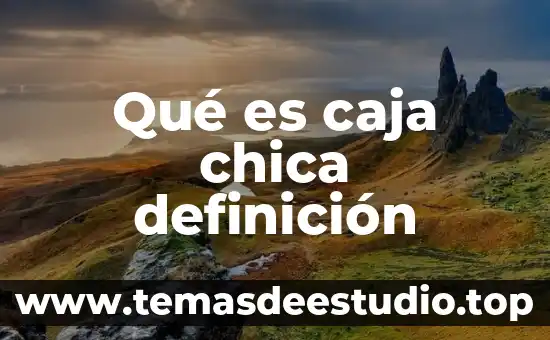 Que es ser una chica fea 6 Qué es caja chica definición