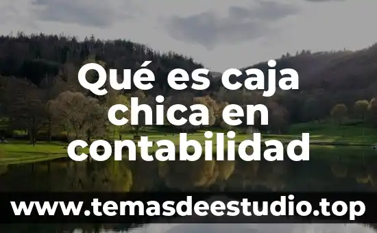 Qué es caja chica en contabilidad