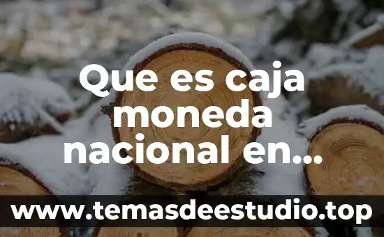 Que es el area de conocimiento en contabilidad 3 Que es caja moneda nacional en contabilidad
