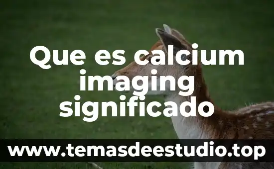 Que es momento de inercia significado 4 Que es calcium imaging significado