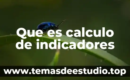 Qué es cobertura en los indicadores académicos 7 Que es calculo de indicadores