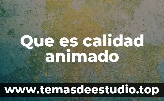 Que es un banner animado 5 Que es calidad animado