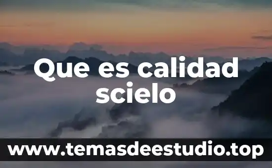 Que es la cultura de calidad 5 Que es calidad scielo