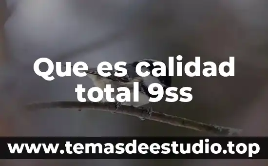 Qué es un hafu en calidad 4 Que es calidad total 9ss