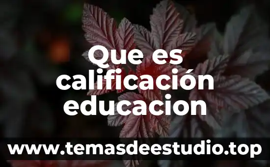 Que es la libertad del derecho a la educacion 7 Que es calificaci贸n educacion