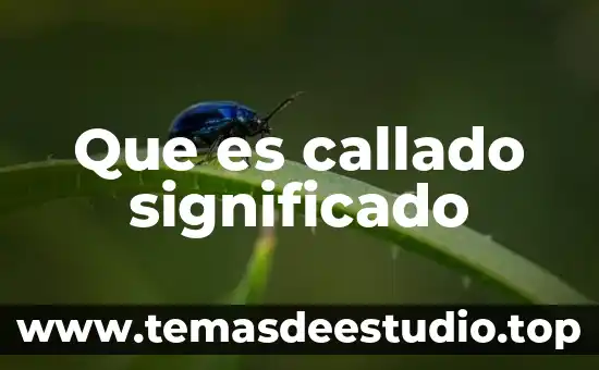 Laringe significado etimológico y que es 5 Que es callado significado
