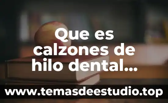 Que es un esquema descriptivo significado 3 Que es calzones de hilo dental significado