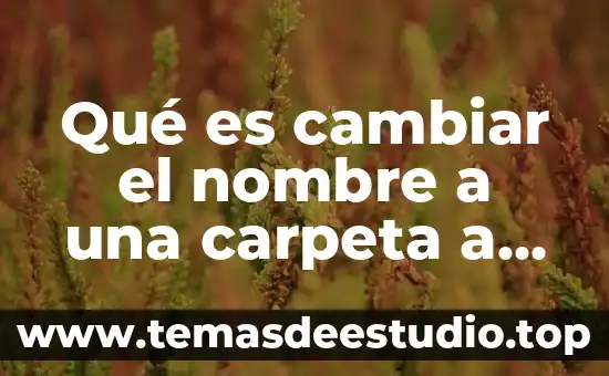 Qué es la exportación de un archivo 5 Qué es cambiar el nombre a una carpeta a archivo