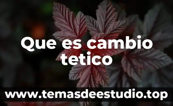 Que es el tipo de cambio concepto 7 Que es cambio tetico