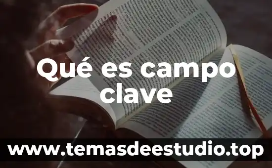 Que es un campo en excel 5 Qué es campo clave
