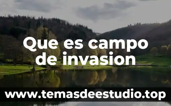 Que es el movimiento de proyectiles en fisica 7 Que es campo de invasion
