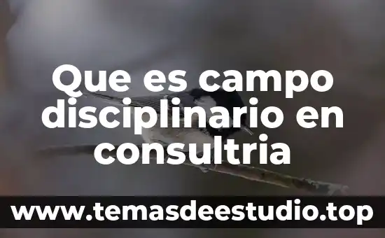 Que es el campo visual en fotografia 4 Que es campo disciplinario en consultria