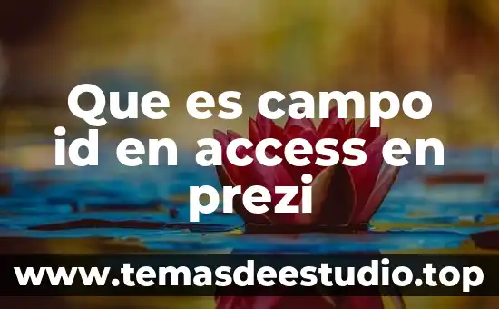 Que es ordenar datos en access 8 Que es campo id en access en prezi