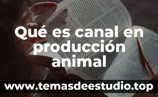 Que es la celula animal caracteristicas funcion 5 Qué es canal en producción animal