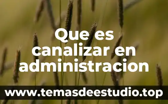 Que es emanar en administracion 8 Que es canalizar en administracion
