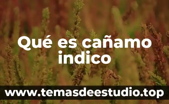 Qué es un eslabón binario en mecanismos 7 Qué es cañamo indico