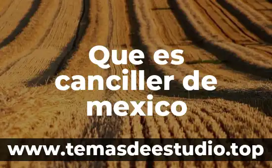 Que es la sociedad multicultural en mexico 4 Que es canciller de mexico